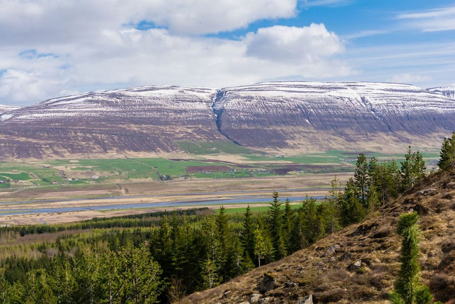 Akureyri in Islanda Veduta di colline e vallate verdi con chiazze di neve vicino ad Akureyri, boschi di Hamrar in primo piano.
