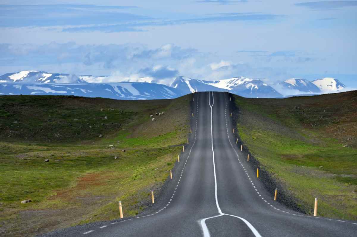 Lunga strada ondulata della Ring Road tra prati verdi e montagne innevate sullo sfondo, paletti gialli e cielo limpido.