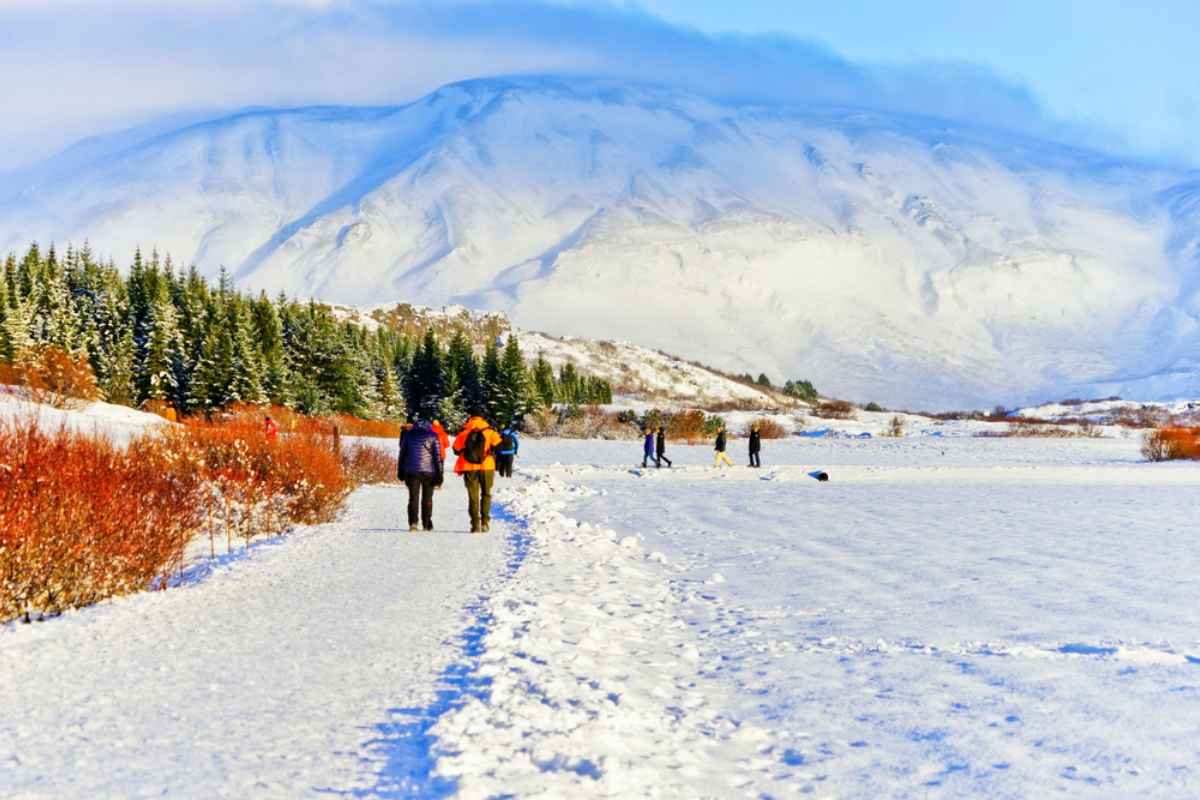 Escursionisti su un sentiero innevato tra arbusti rossi e abeti, ai piedi di montagne bianche; classica giornata d&rsquo;inverno nel Golden Circle.